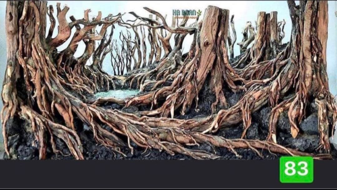 TTD 【⭐︎ Akihide Miyamoto 様⭐︎】【美品・数量限定】