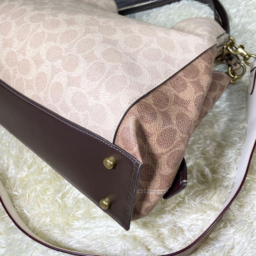 レア❗️コーチ ダルトン 31 ブロック シグネチャー スネークスキン ディテール