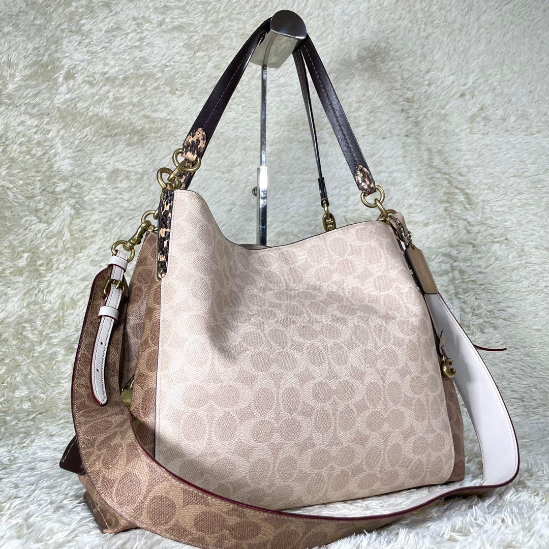 レア❗️コーチ ダルトン 31 ブロック シグネチャー スネークスキン ディテール