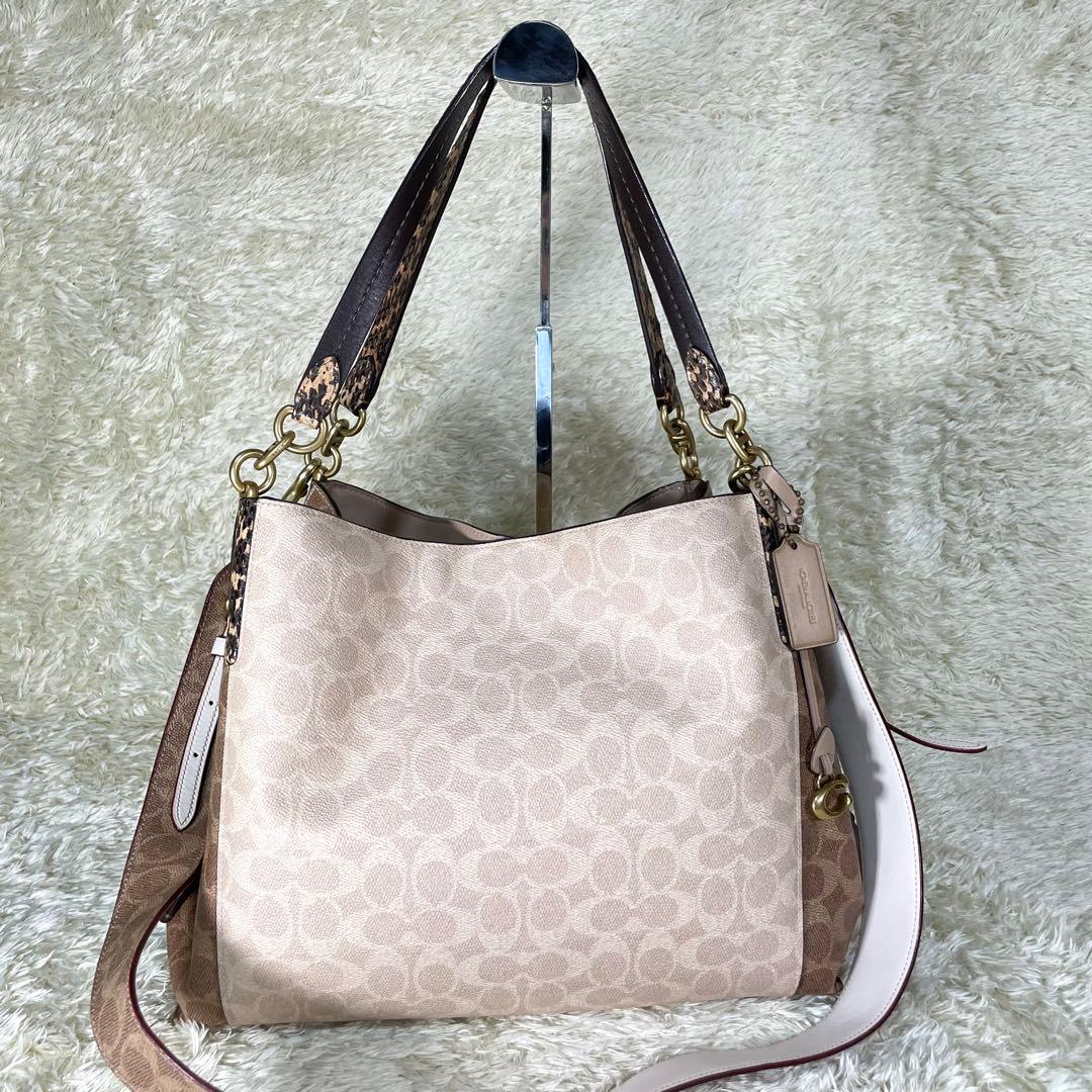 レア❗️コーチ ダルトン 31 ブロック シグネチャー スネークスキン ディテール