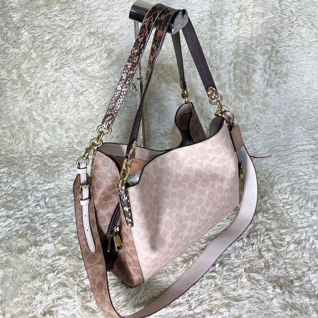 レア❗️コーチ ダルトン 31 ブロック シグネチャー スネークスキン ディテール