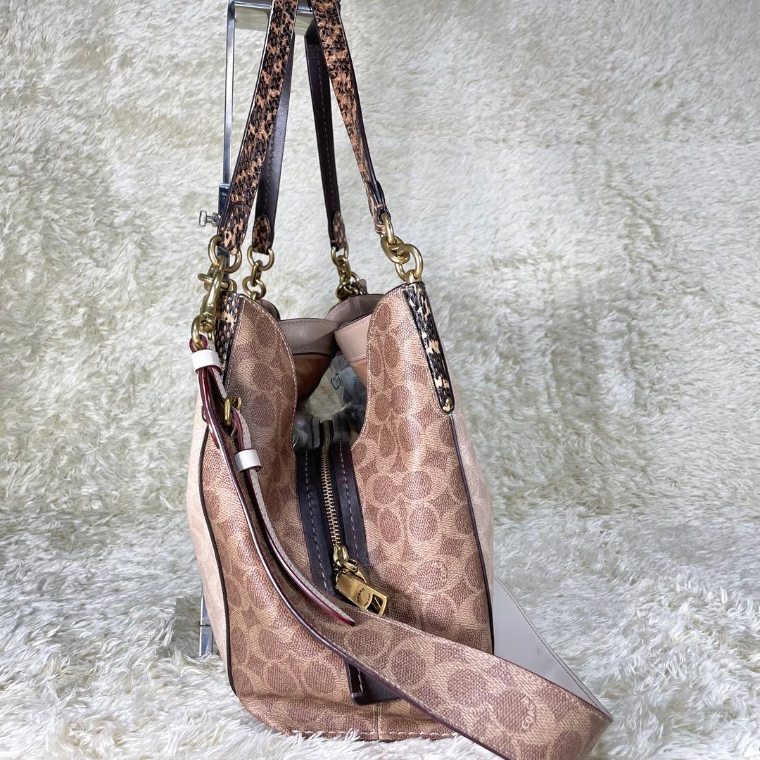 レア❗️コーチ ダルトン 31 ブロック シグネチャー スネークスキン ディテール