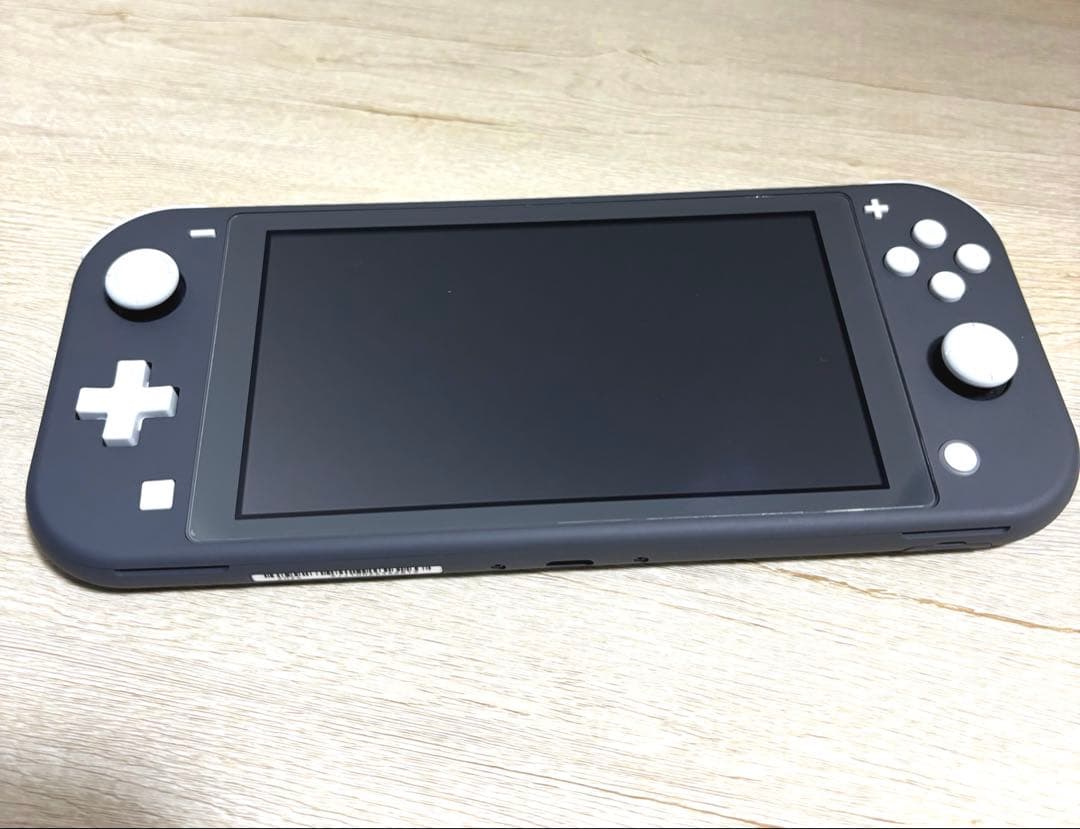 Nintendo Switch Lite グレー(箱有り、充電器無し)＆ケース