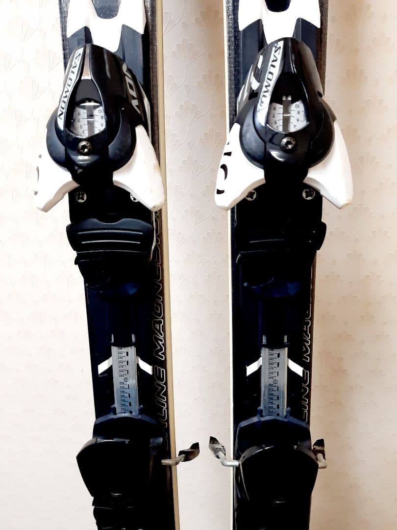 サロモン SALOMON 24HOURS S3 169cm スキー板