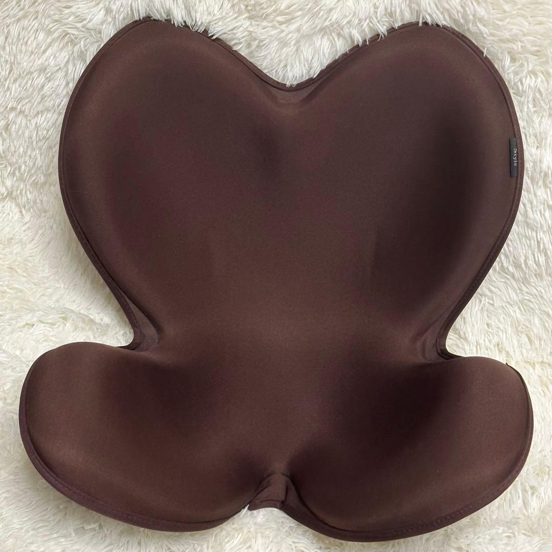 MTG Style 骨盤姿勢矯正サポートチェア　赤　ブラウン2個セット