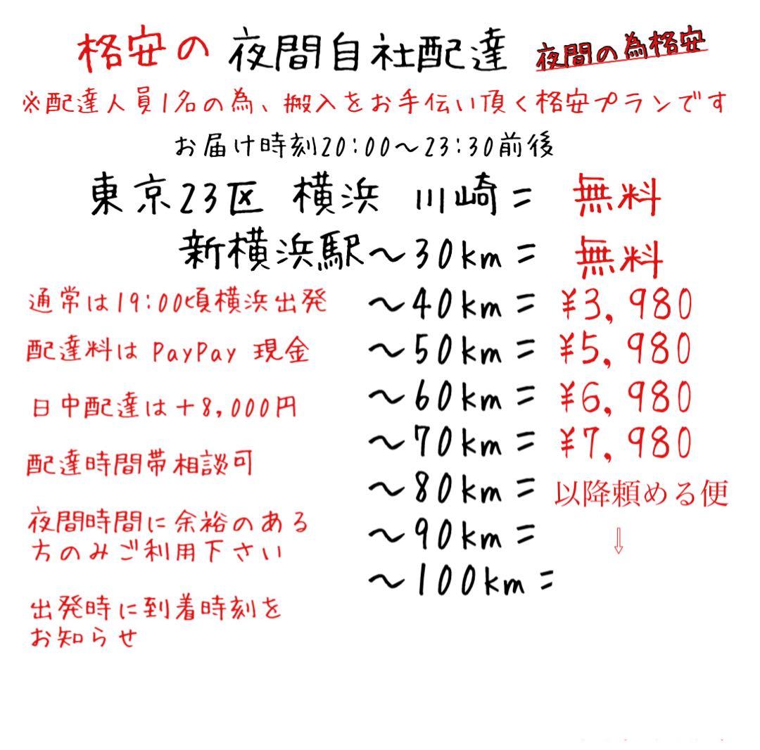 首都圏送無料〜TEREVISO24万トレビソ スモール レザテクス カウチソファ