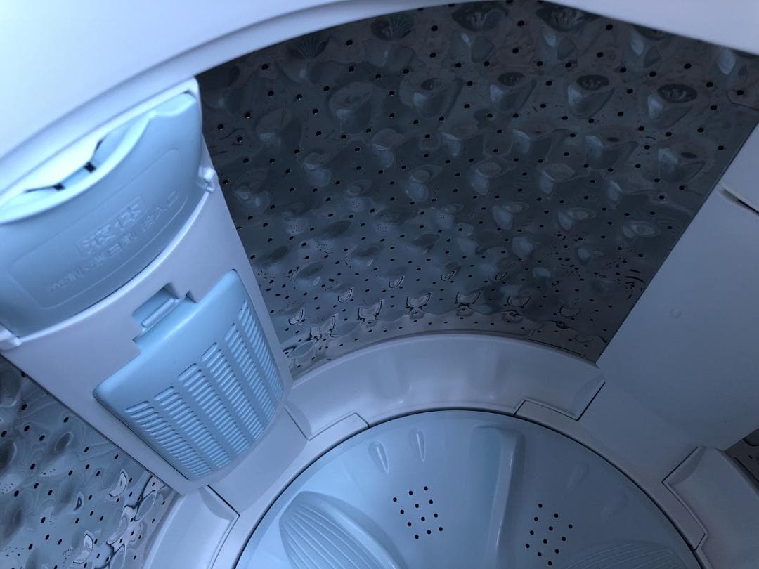 送料無料 東芝 洗濯機 7kg 2023年製 AW-7GME2 ファミリー向け