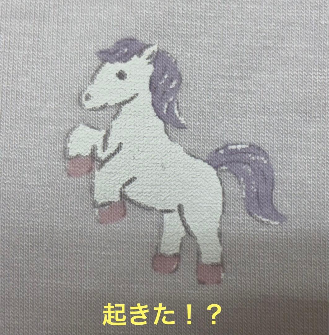 ジェラートピゲ 5点セット【開封のみ未使用】2026ハッピーボックス