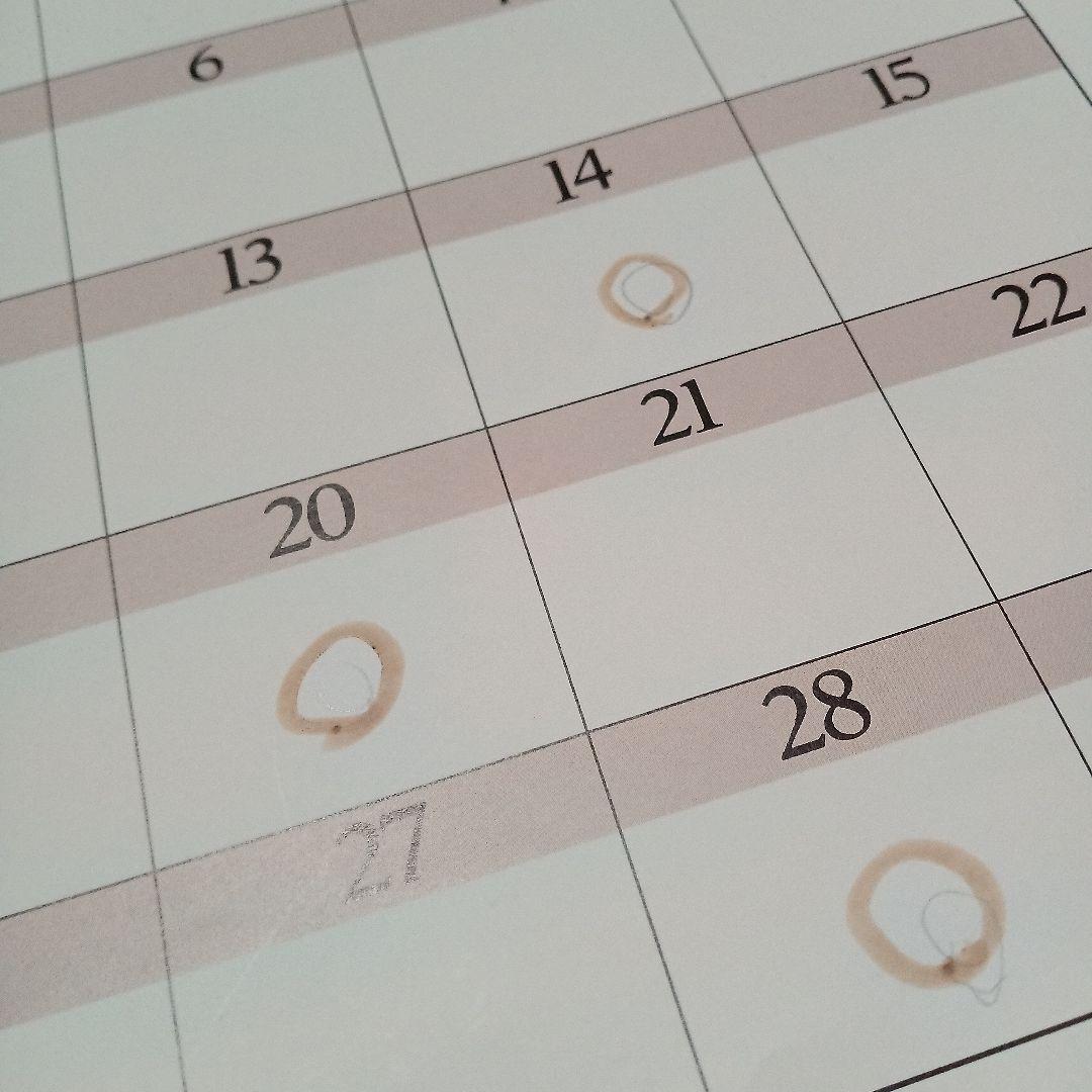 【レアだけど…】1996年スタジオジブリカレンダー【書き込み有！】