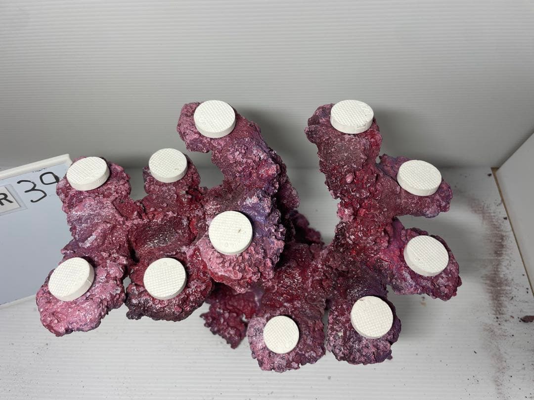 【送料無料】人工ライブロック　PHR39／11穴加工　アク抜き済み安心塗料使用