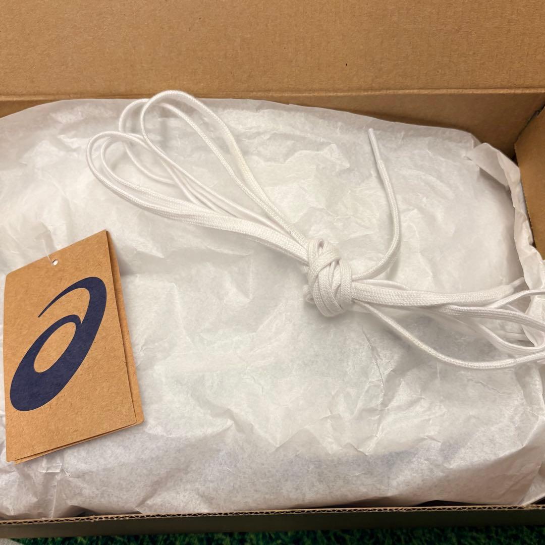 アシックス エックスフライプロ3 （25.0㎝）