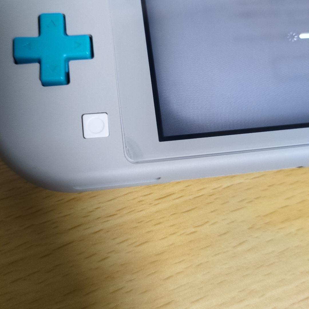 任天堂Switchライト本体(sdカード付き＆充電器付き)