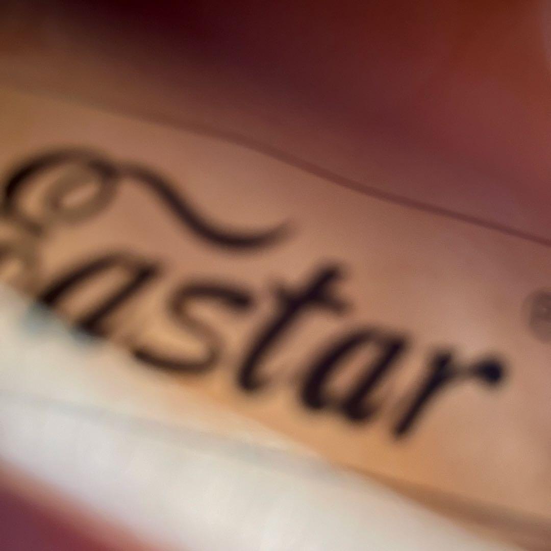 Eastarバイオリン 4/4 単板 ソリッド 弓2本