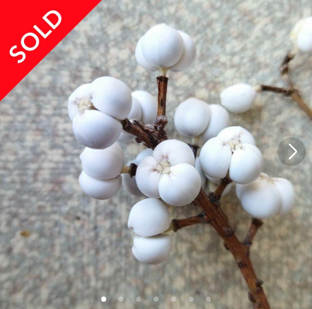 ナンキンハゼの実。オーダー専用。2025.初物。素材パーツ。スワッグ。