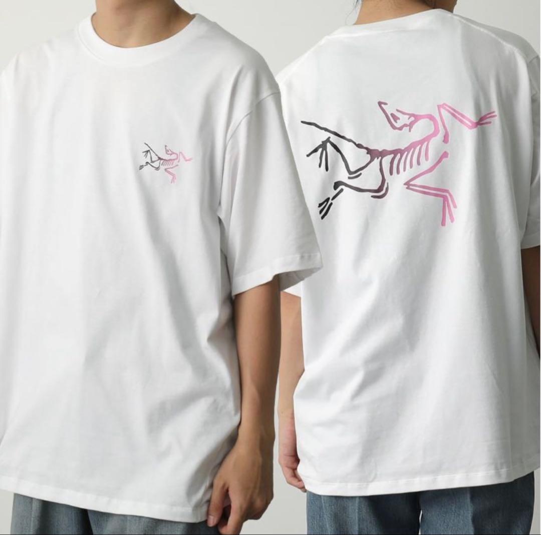 アークテリクス　メンズT