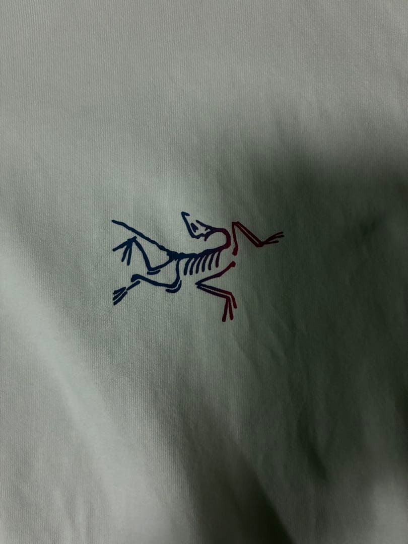 アークテリクス　メンズT