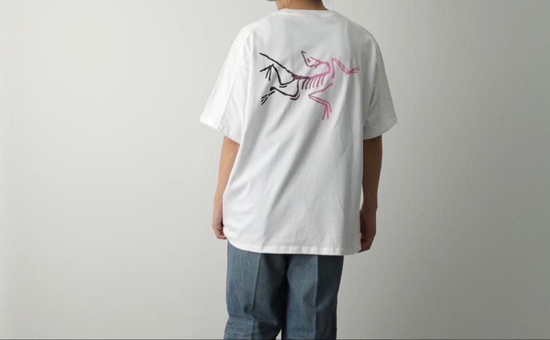 アークテリクス　メンズT