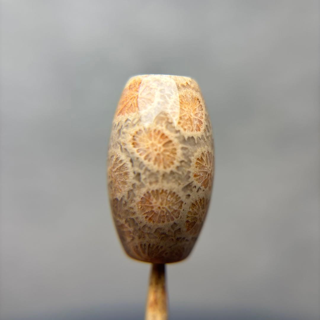 あずきちゃんフォッシルコーラル　天珠　1-299