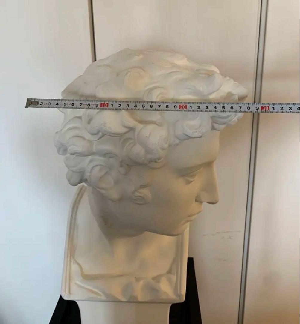 メディチ胸像　石膏像　トルソー　台座あり
