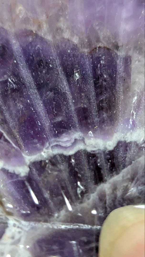 エレスチャル❢