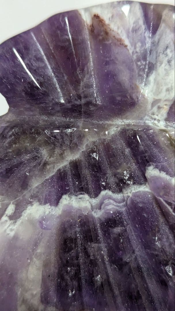 エレスチャル❢