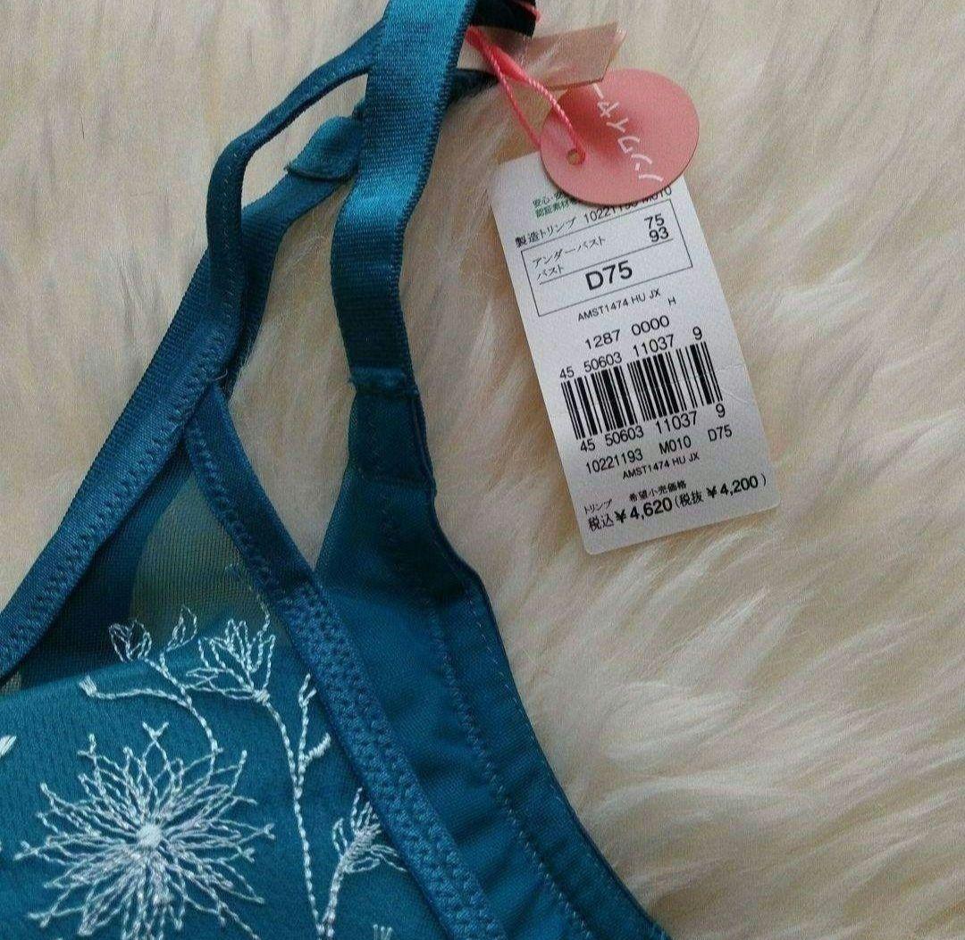 トリンプ アモスタイル　セット　D75 M 1493　020 定価6490円