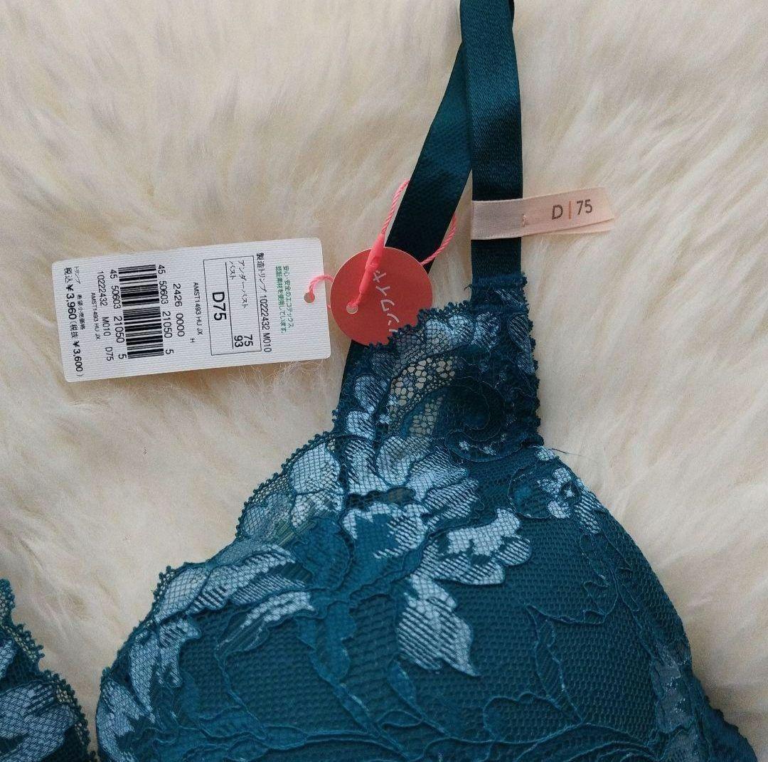 トリンプ アモスタイル　セット　D75 M 1493　020 定価6490円