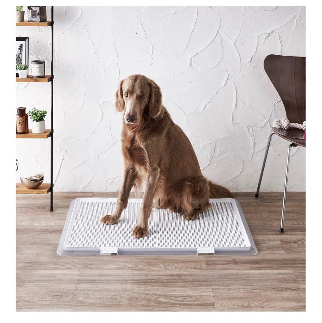 ボンビアルコン　トイレトレー　クリアメッシュ　XL