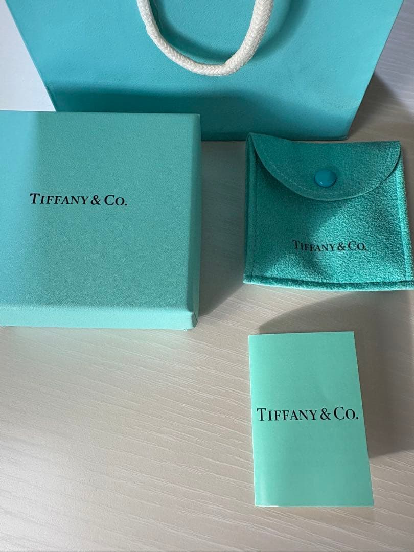 Tiffany & Co. ドッグタグネックレス sv925 シルバー925
