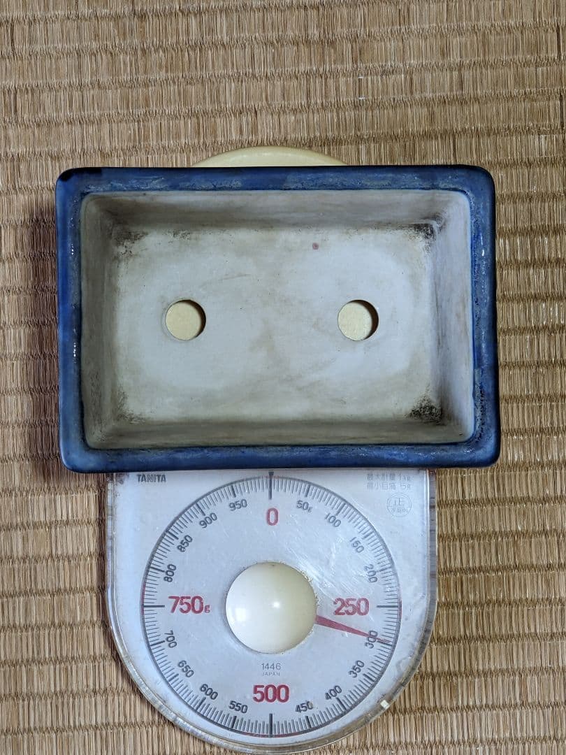 ♦染付山水図 長方角鉢 小品盆栽鉢 ミニ盆栽鉢 作家物 美術品 工芸品 骨董品