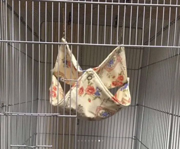 モモンガハウス（動物のサイクリング）秋・春仕様  1850円