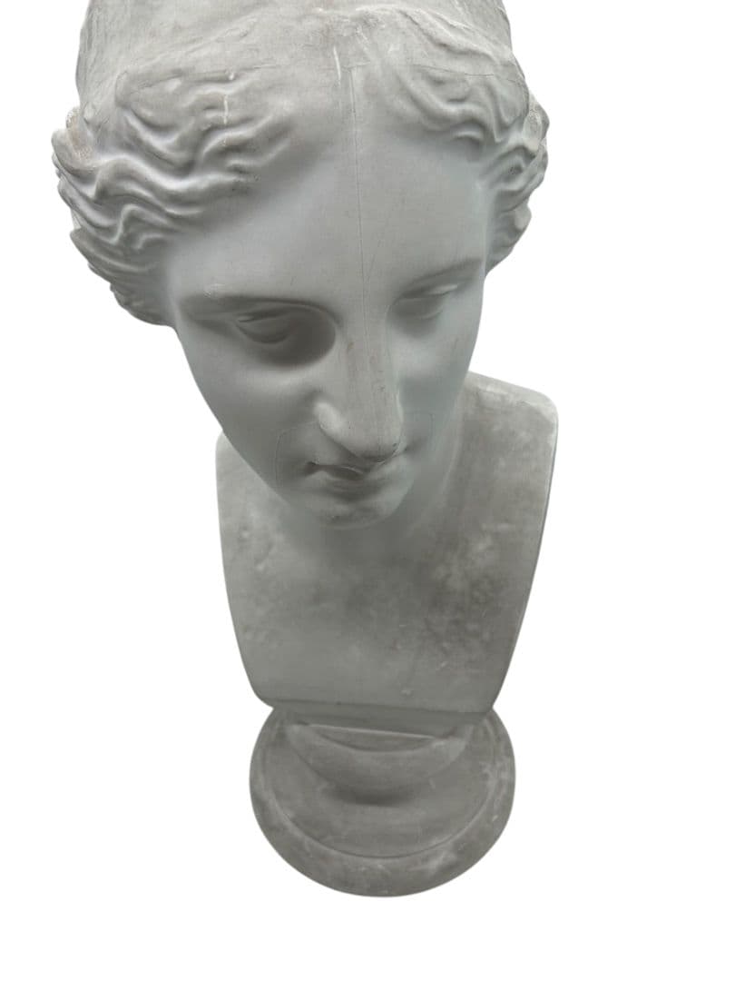 ミロのヴィーナス 石膏像