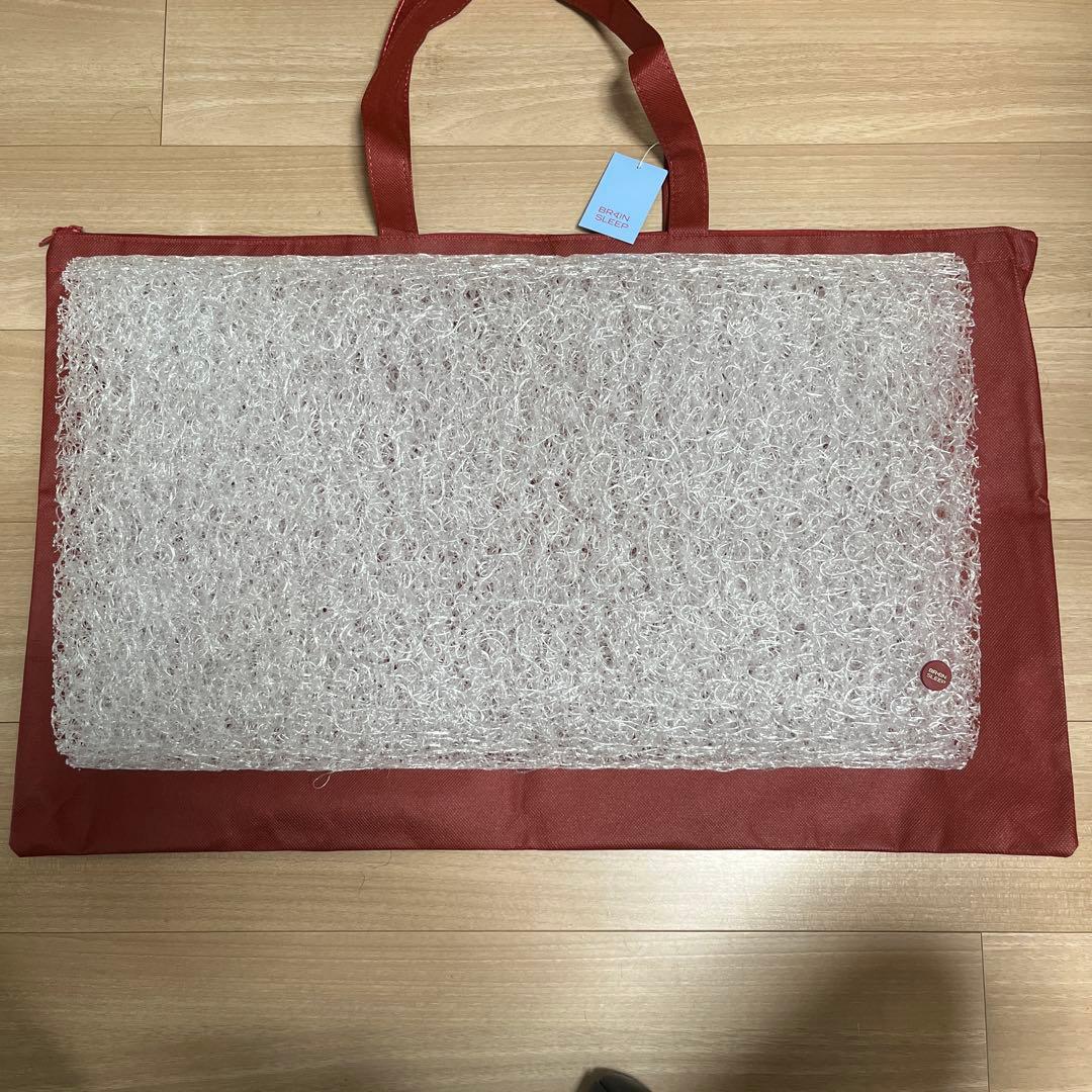 BRAIN SLEEP 枕