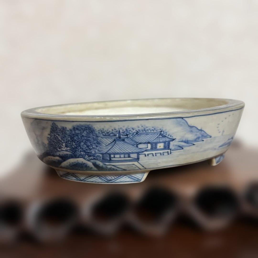 盆栽鉢　　月香