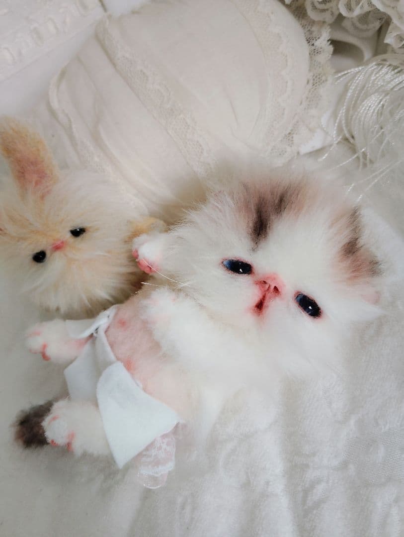 hana様御予約❤生後10日♡子猫ちゃんとうさちゃんのぬいぐるみ♡おむつ♡