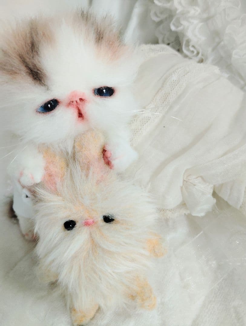 hana様御予約❤生後10日♡子猫ちゃんとうさちゃんのぬいぐるみ♡おむつ♡