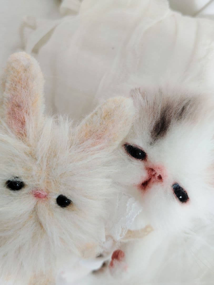 hana様御予約❤生後10日♡子猫ちゃんとうさちゃんのぬいぐるみ♡おむつ♡