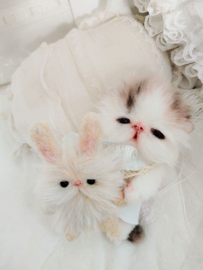 hana様御予約❤生後10日♡子猫ちゃんとうさちゃんのぬいぐるみ♡おむつ♡