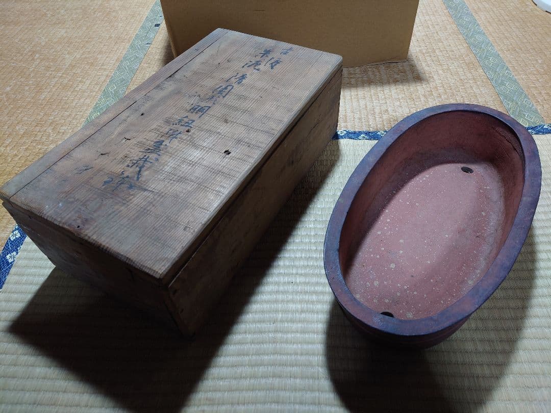 盆栽　鉢　中国　古渡　朱泥楕円形胴紐　幅44.3cm