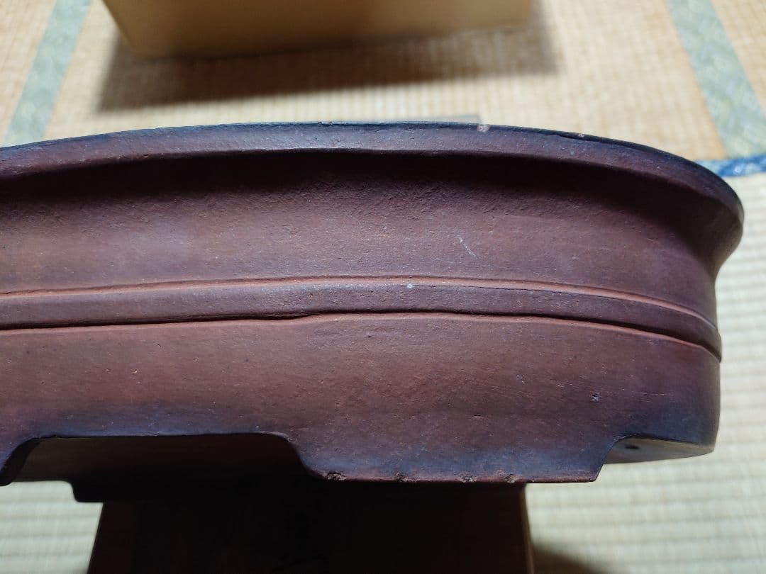 盆栽　鉢　中国　古渡　朱泥楕円形胴紐　幅44.3cm