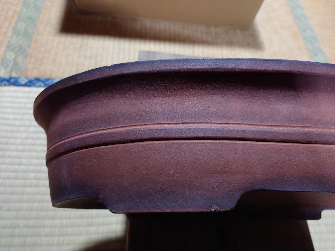 盆栽　鉢　中国　古渡　朱泥楕円形胴紐　幅44.3cm