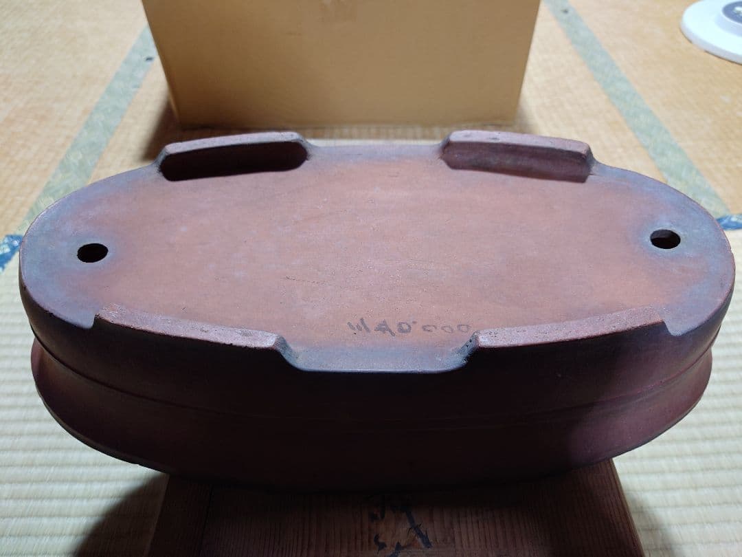 盆栽　鉢　中国　古渡　朱泥楕円形胴紐　幅44.3cm