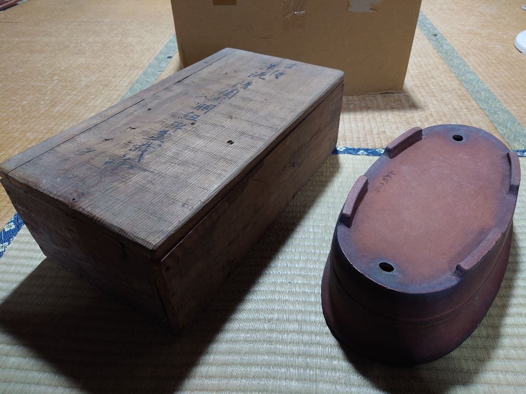 盆栽　鉢　中国　古渡　朱泥楕円形胴紐　幅44.3cm