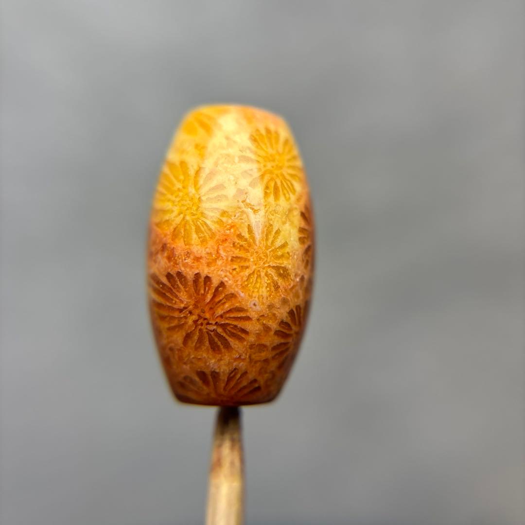 ユッキーフォッシルコーラル　天珠　1-334