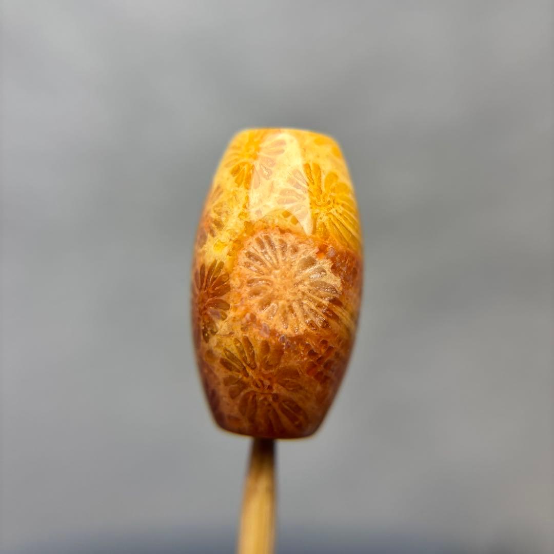 ユッキーフォッシルコーラル　天珠　1-334