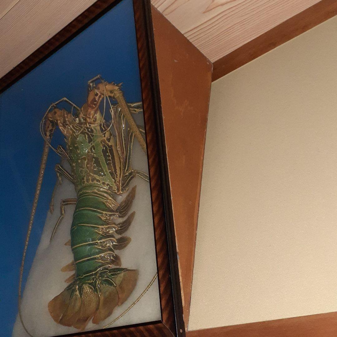 巨大海老の飾り物