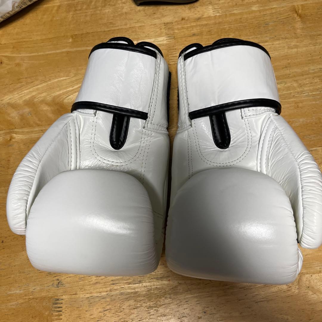 Fairtex ボクシンググローブ 8オンス　BGV-1