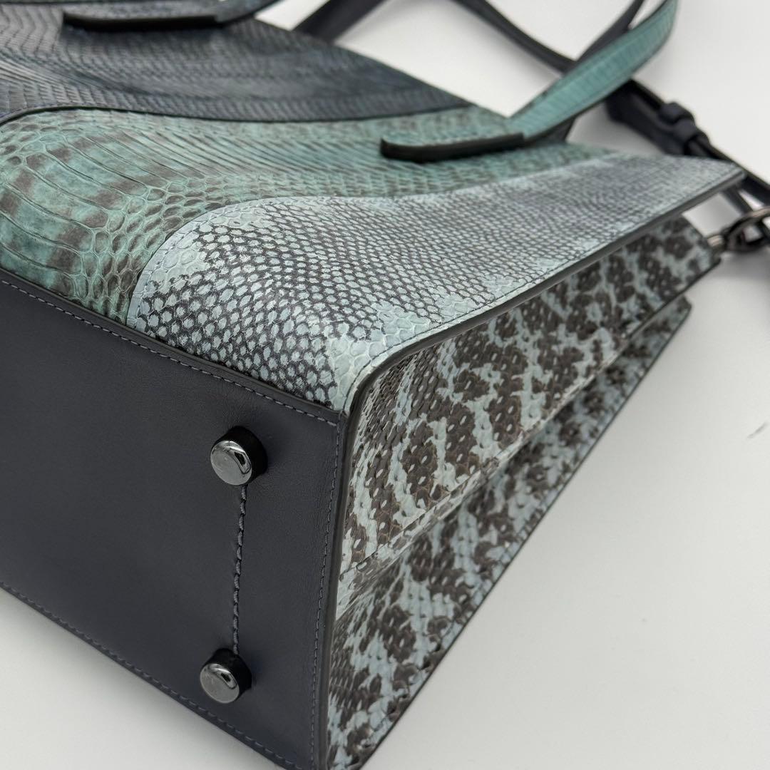 COACH チャーリーキャリーオール ヘビ革 ショルダーバッグ