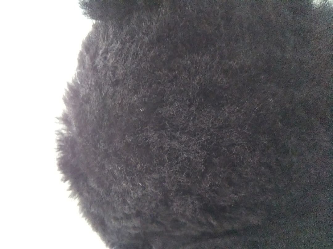 UGG イヤーマフ黒　イヤーマフラー　アグ