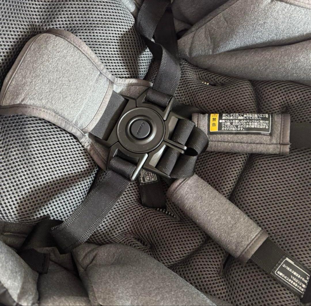 【上位モデル】スゴカルSwitch plus エッグショック ロッタ AN